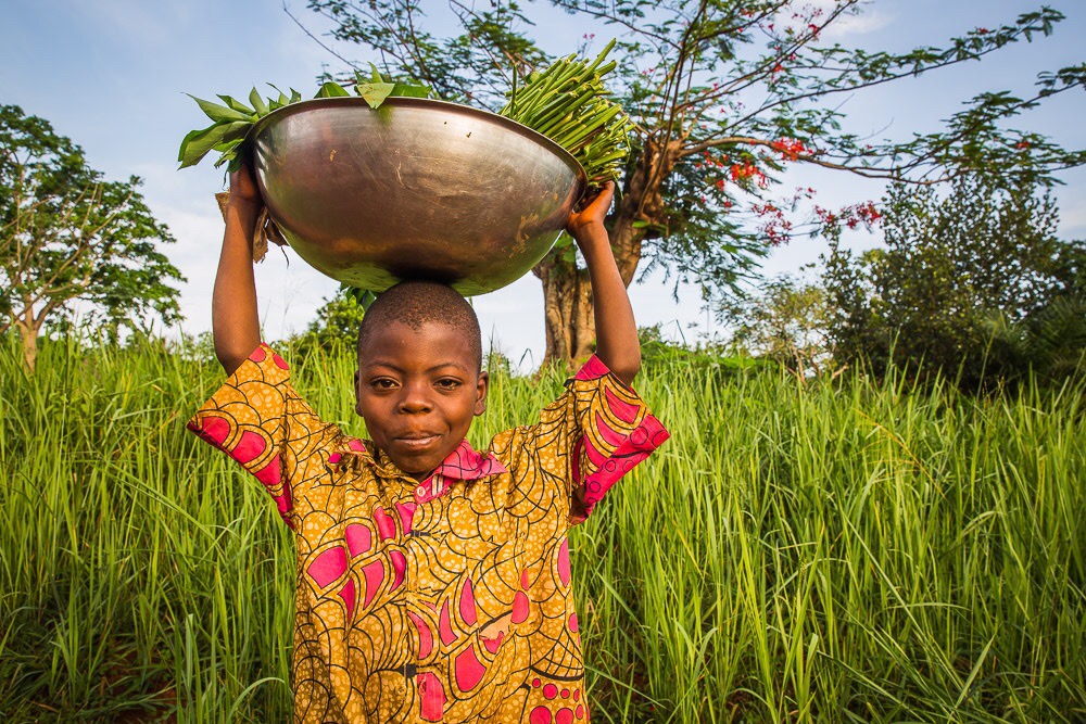 Gardening, Nord Ubangi, DRC