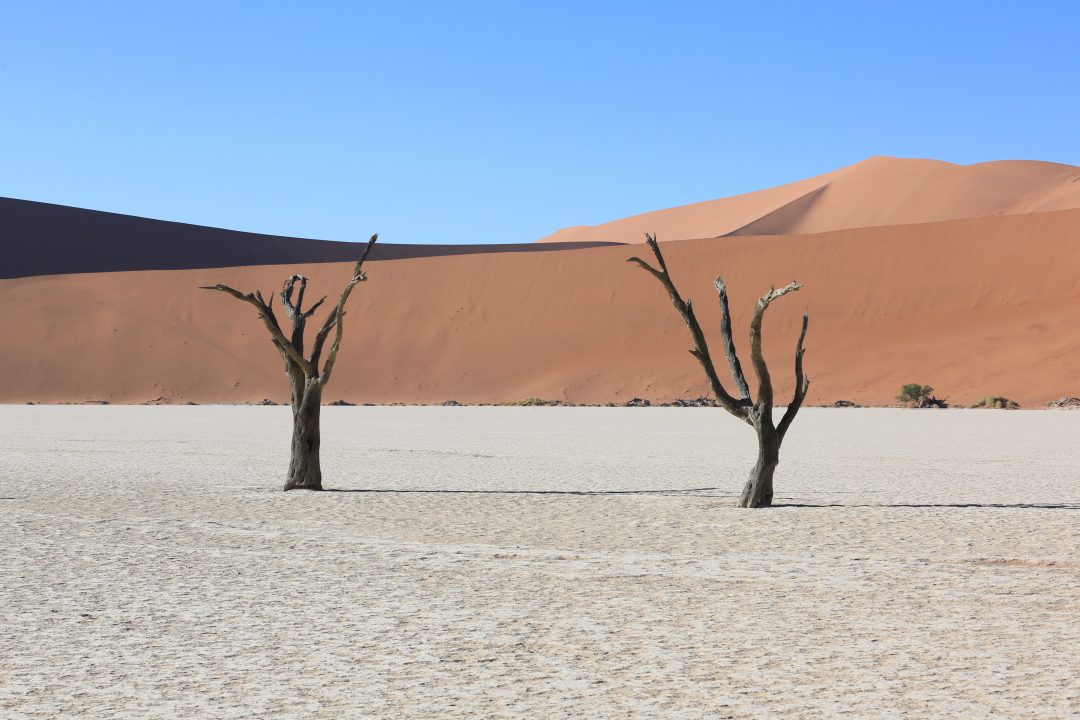 Dead Vlei, Namibia