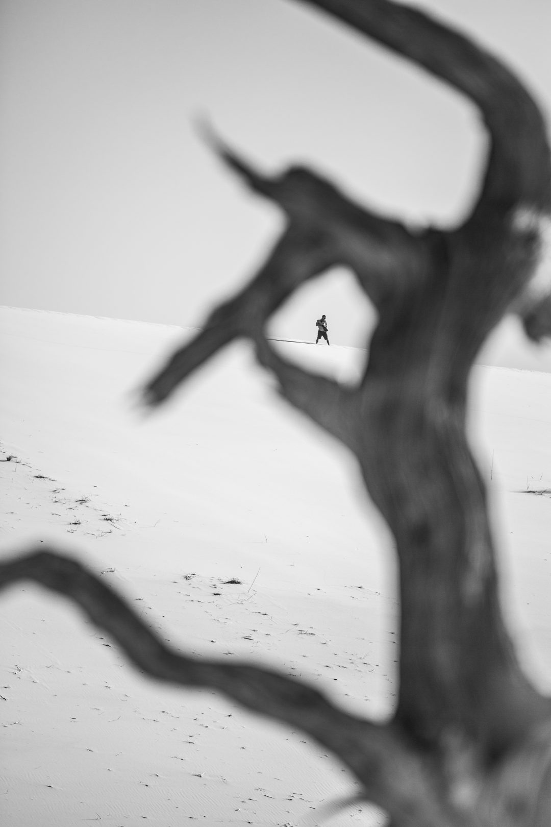 Crystal Stafford, Deadvlei, Namibia