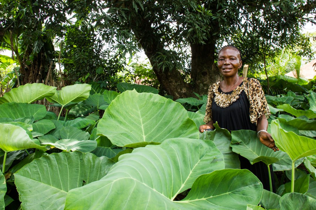 Crystal Stafford, Democratic Republic of Congo